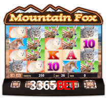 3365bet